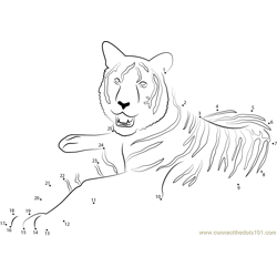 Tiger at Look Dot to Dot Worksheet