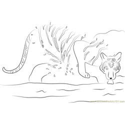 Tiger in a Water Dot to Dot Worksheet