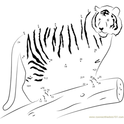 Tiger on Wood Dot to Dot Worksheet