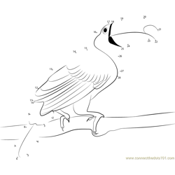 Female Toucan Bird Dot to Dot Worksheet
