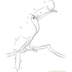 Red-breasted Toucan Dot to Dot Worksheet