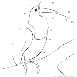 Sitting Toucan Bird Dot to Dot Worksheet