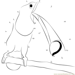 Sulfur-breasted Toucan Dot to Dot Worksheet