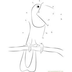 Toucan At Birdworld Dot to Dot Worksheet