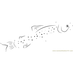Baby Trout Fish Dot to Dot Worksheet