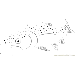 Ohrid Trout Dot to Dot Worksheet