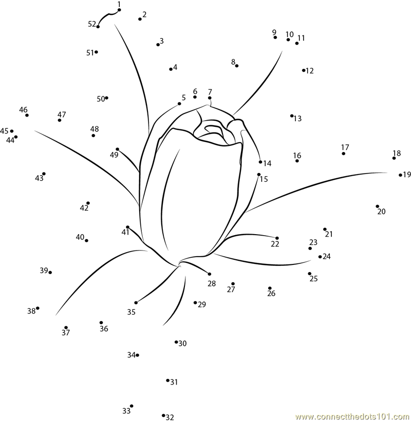 tuberose-flower-dot-to-dot-printable-worksheet-connect-the-dots