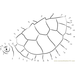Graptemys Ernsti Dot to Dot Worksheet