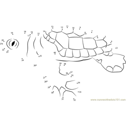 Grey Baby Turtle Dot to Dot Worksheet
