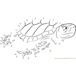 Logger Head Sea Turtle Dot to Dot Worksheet