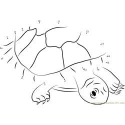 Red Headed Amazon River Turtle Dot to Dot Worksheet