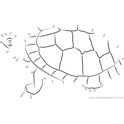 Southern Painted Turtle Dot to Dot Worksheet