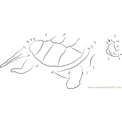 Turtle Attacking Dot to Dot Worksheet