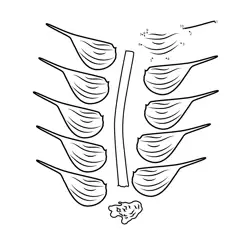 Garlic Cloves Numerical Exercise Dot to Dot Worksheet