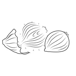 Chopped Onion Segments Formation Dot to Dot Worksheet