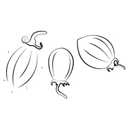 Garden Tomato Sequence Learning Dot to Dot Worksheet