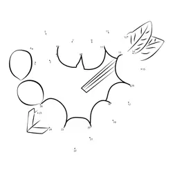 Fresh Garden Tomato with Leaf Dot to Dot Worksheet
