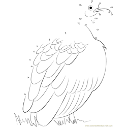Greater Yellow-headed Vulture Dot to Dot Worksheet