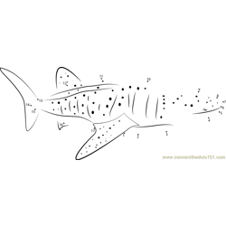 Black Patch Whale Dot to Dot Worksheet