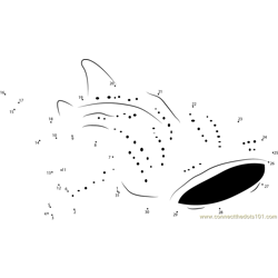 Requin Baleine Fishing Dot to Dot Worksheet