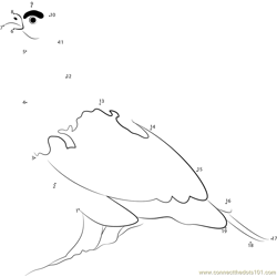 Look Willow Ptarmigan Dot to Dot Worksheet