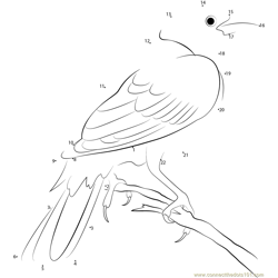 Yellow-headed Blackbird in the Back Area Dot to Dot Worksheet