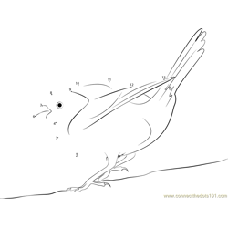 Wing Fly Yellowhammer Dot to Dot Worksheet