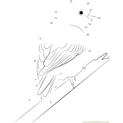 Yellowhammer on The Branch Dot to Dot Worksheet