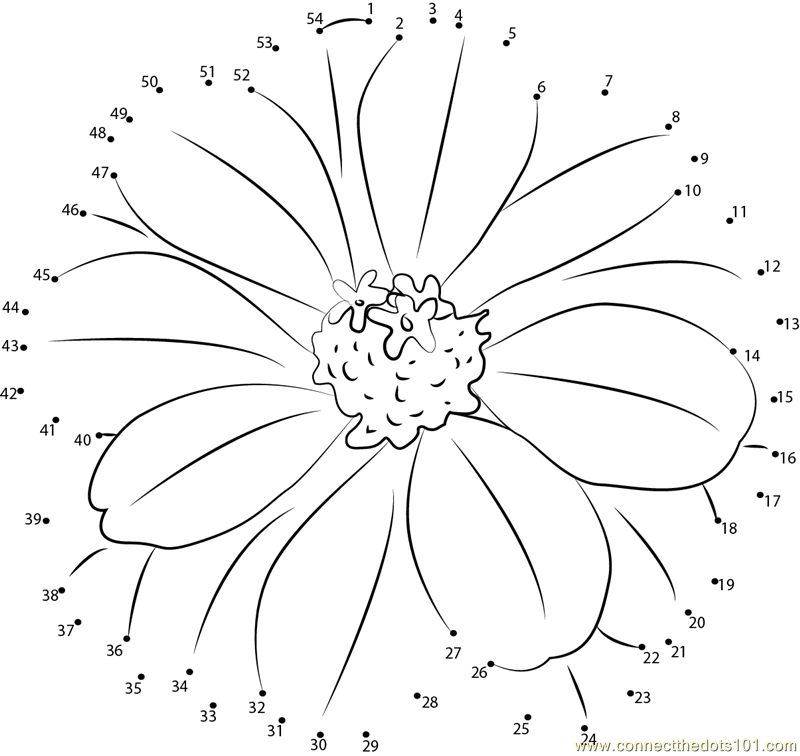 Zinnia Flower dot to dot printable worksheet - Connect The Dots