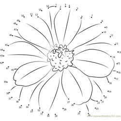 Zinnia Flower Dot to Dot Worksheet